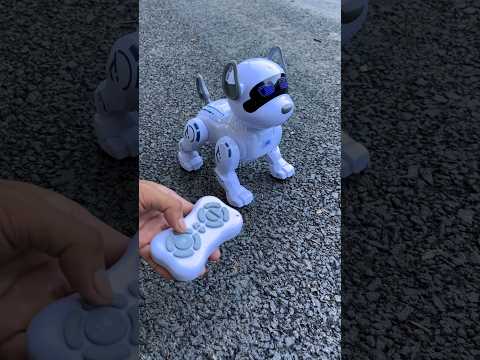 Big Remote control Dog unboxing | Rc Intelligent stunt dog π 40 dollar invest